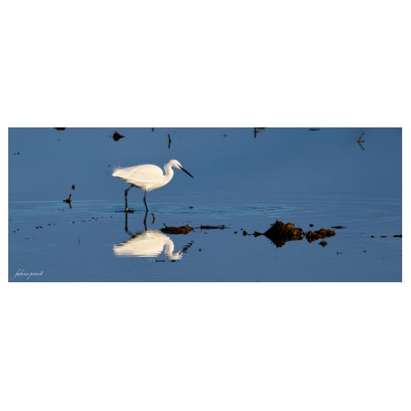 PHOTO84, CLUB, 84 , LUBERON